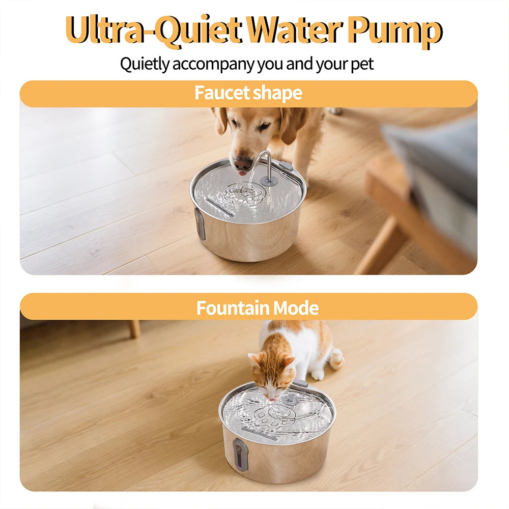 "Elevate Your Pet’s Hydration, Enhance Their Joy"